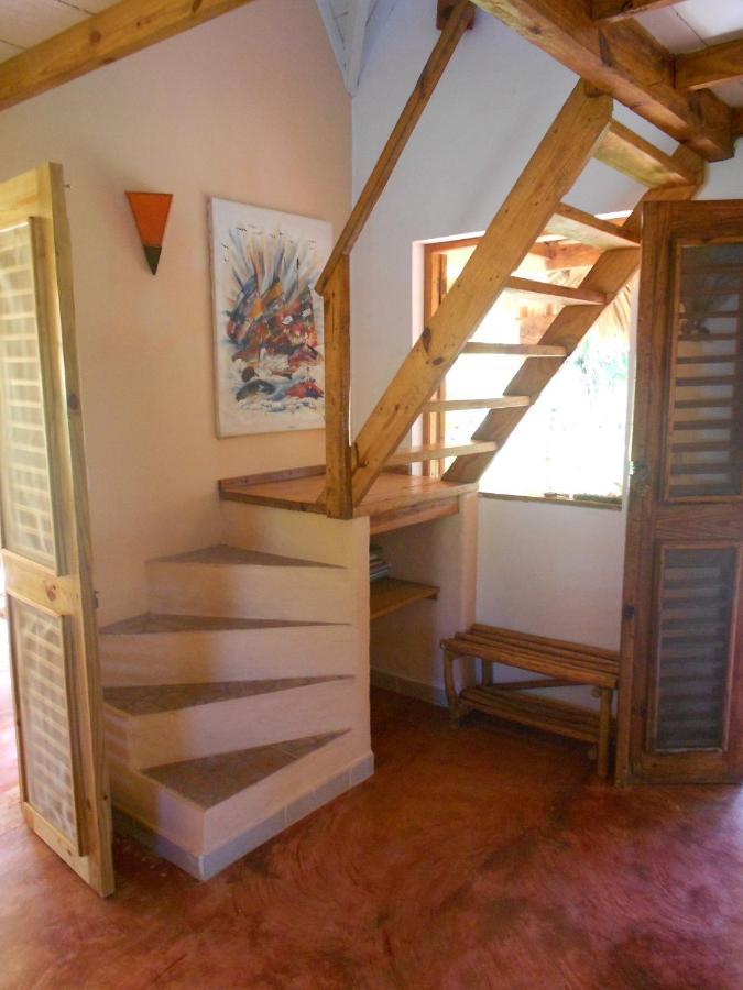 Palm-Covered House In The Tropical -Casa Oli Las Galeras Εξωτερικό φωτογραφία