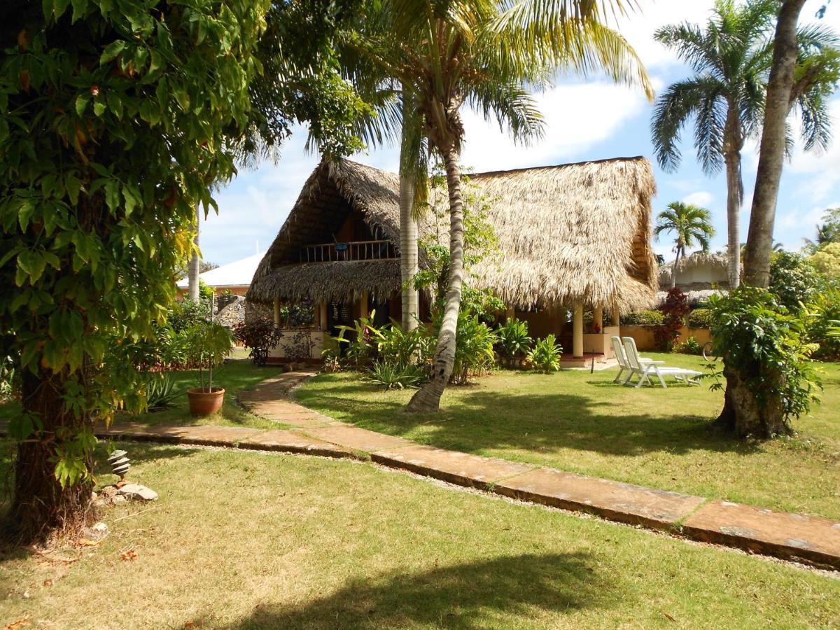 Palm-Covered House In The Tropical -Casa Oli Las Galeras Εξωτερικό φωτογραφία