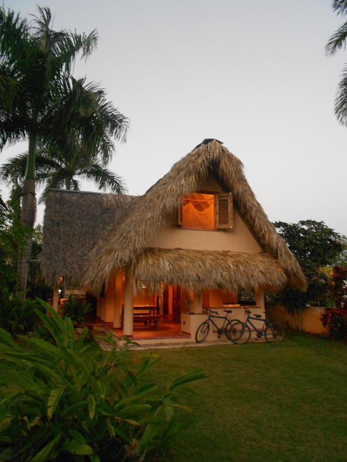 Palm-Covered House In The Tropical -Casa Oli Las Galeras Εξωτερικό φωτογραφία