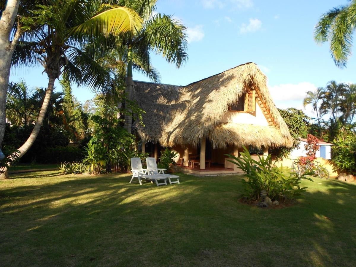 Palm-Covered House In The Tropical -Casa Oli Las Galeras Εξωτερικό φωτογραφία