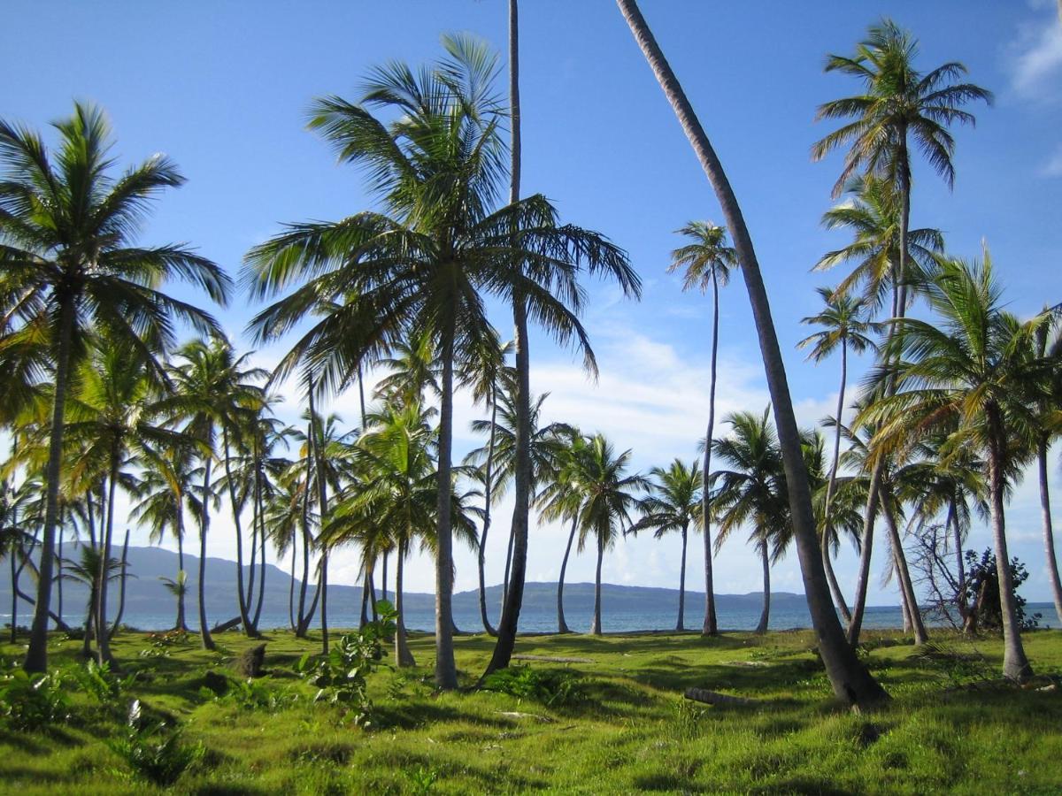 Palm-Covered House In The Tropical -Casa Oli Las Galeras Εξωτερικό φωτογραφία