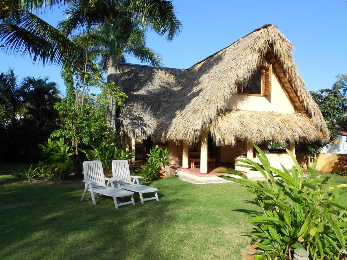 Palm-Covered House In The Tropical -Casa Oli Las Galeras Εξωτερικό φωτογραφία