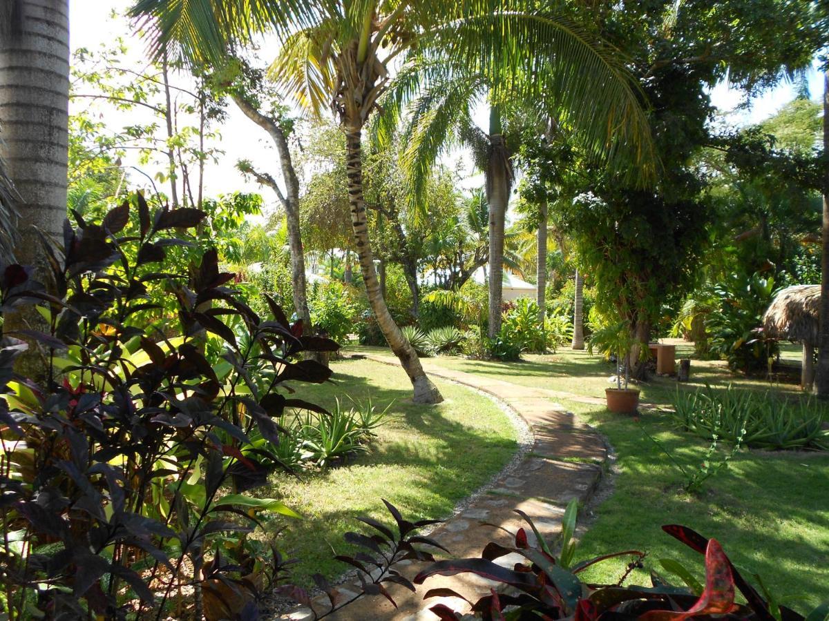 Palm-Covered House In The Tropical -Casa Oli Las Galeras Εξωτερικό φωτογραφία